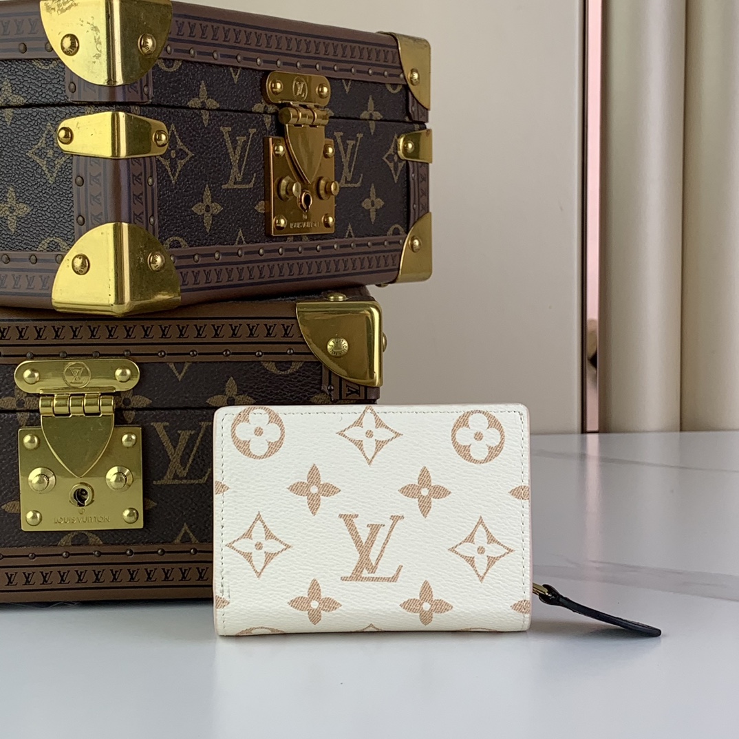 Louis Vuitton Wallets Purse